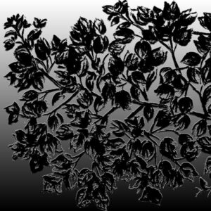 LÁMINA:F2-1268BN1  45X45