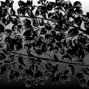 LÁMINA:F2-1268BN2  45X45