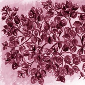 LÁMINA:F2-1268MA1  45X45