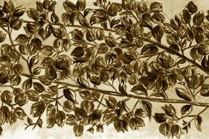 LÁMINA:F2-1268SE  30X90