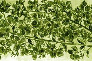 LÁMINA:F2-1268VE  30X90