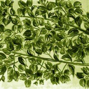 LÁMINA:F2-1268VE2  45X45