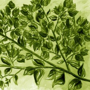 LÁMINA:F2-1268VE3  45X45