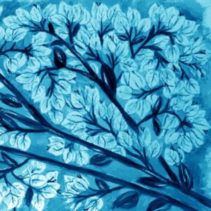 LÁMINA:F2-1272AZ3  45X45