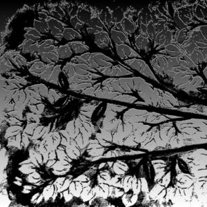 LÁMINA:F2-1272BN1  45X45