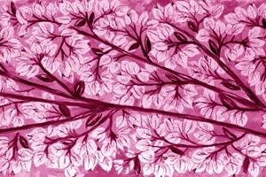 LÁMINA:F2-1272MA  30X90