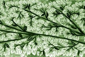 LÁMINA:F2-1272VE  30X90