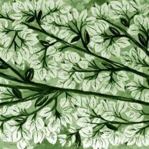 LÁMINA:F2-1272VE2  45X45