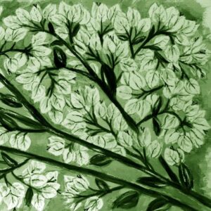 LÁMINA:F2-1272VE3  45X45