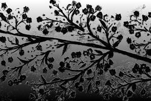 LÁMINA:F2-1276BN  30X90