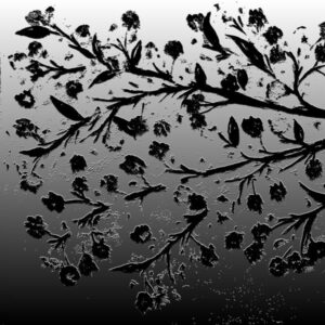 LÁMINA:F2-1276BN1  45X45