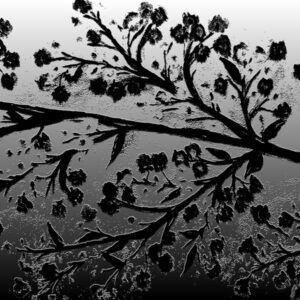 LÁMINA:F2-1276BN2  45X45