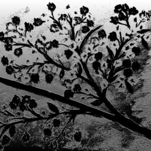 LÁMINA:F2-1276BN3  45X45