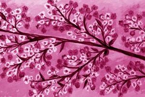 LÁMINA:F2-1276MA  30X90