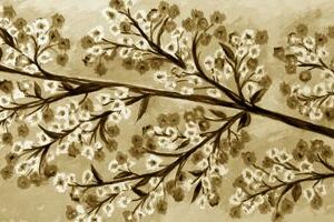 LÁMINA:F2-1276SE  30X90