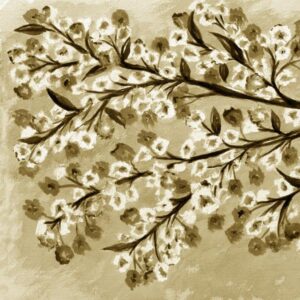 LÁMINA:F2-1276SE1  45X45