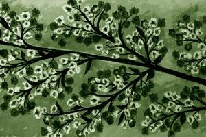 LÁMINA:F2-1276VE  30X90