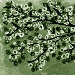 LÁMINA:F2-1276VE1  45X45