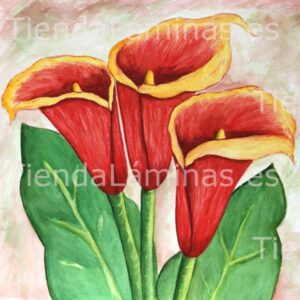 LÁMINA:F4-1229  60X60