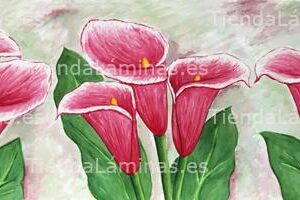 LÁMINA:F4-1240  30X90