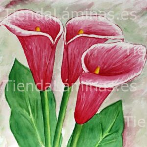 LÁMINA:F4-1241  60X60