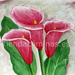 LÁMINA:F4-1242  60X60