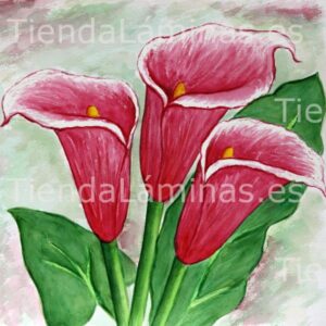 LÁMINA:F4-1243  60X60