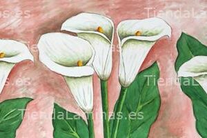 LÁMINA:F4-1244  30X90