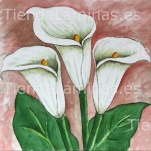 LÁMINA:F4-1245  60X60