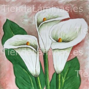 LÁMINA:F4-1247  60X60