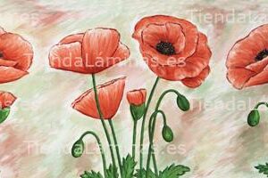 LÁMINA:F4-1248  30X90