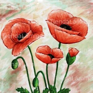 LÁMINA:F4-1249  60X60