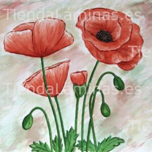 LÁMINA:F4-1250  60X60