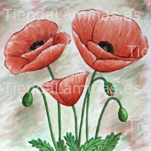 LÁMINA:F4-1251  60X60