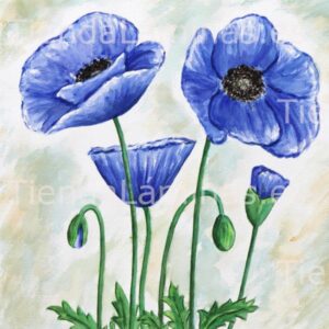 LÁMINA:F4-1253  60X60