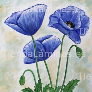 LÁMINA:F4-1255  60X60