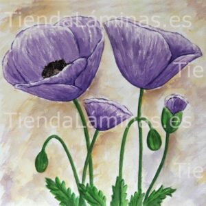 LÁMINA:F4-1257  60X60