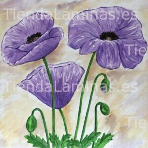 LÁMINA:F4-1258  60X60