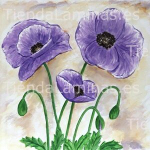 LÁMINA:F4-1259  60X60