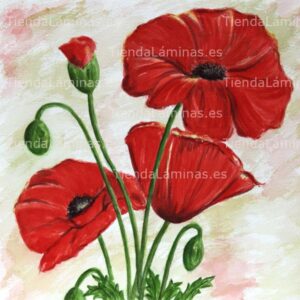 LÁMINA:F4-1261  60X60