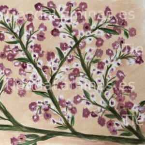 LÁMINA:F4-1267  60X60