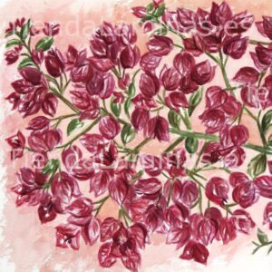 LÁMINA:F4-1269  60X60