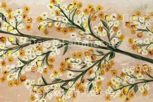 LÁMINA:F4-1276  30X90