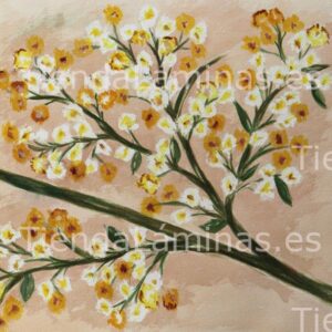 LÁMINA:F4-1279  60X60