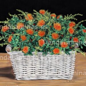 LÁMINA:F4-1289  34x49