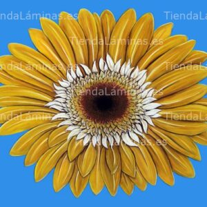 LÁMINA:F4-1310  30X40