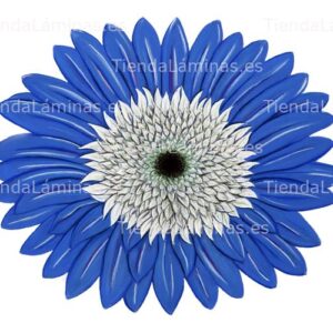 LÁMINA:F4-1314  30X40