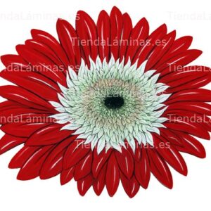 LÁMINA:F4-1315  30X40