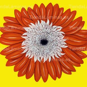 LÁMINA:F4-1316  30X40