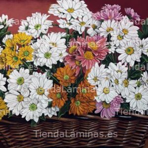 LÁMINA:F4-1414  40X70